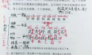 五年级上册第一单元有哪些课文 五年级上册语文