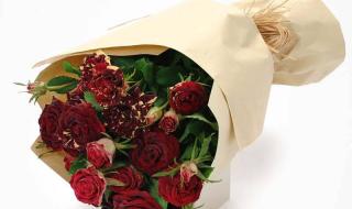 深圳燃气客服人员的工作是做什么 深圳燃气网上订气