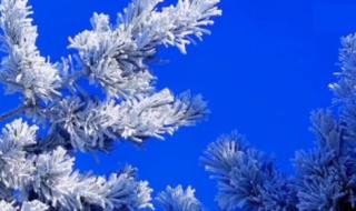 2月份吉林还有雾凇么 吉林大范围雾凇景观