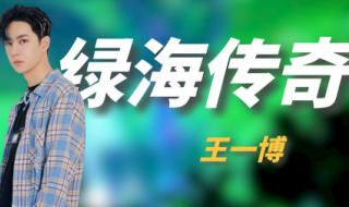 王一博2024跨年戴的什么花 王一博春晚2024