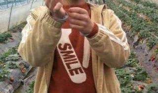 安徽省安庆市的中学排名,还有中考分数线 安庆初中排名前十名