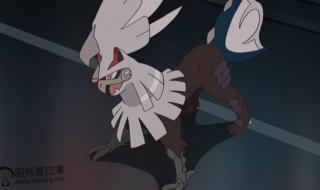 口袋怪兽银伊布怎么进化太阳精灵和月精灵 宠物小精灵太阳月亮