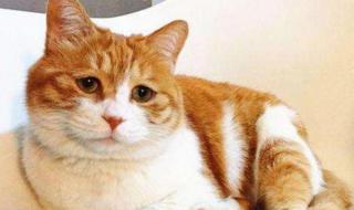 劝君更进一杯酒 劝君更进一杯酒