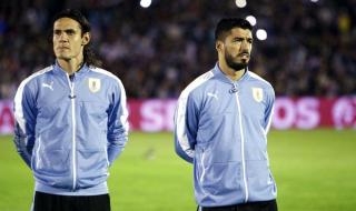 18年世界杯第三轮小组赛战绩 14年哥斯达黎加世界杯战绩