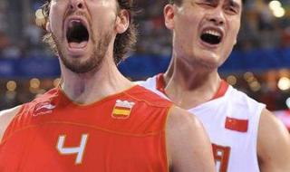 2004年奥运会男子200米决赛 2004年雅典奥运会110米栏半决赛